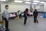 世田谷・成城本校外観/成城通り沿い・上祖師谷4丁目バス停前