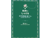 chiteki1.jpg