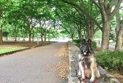 東京・成城本校の近くにある祖師谷公園