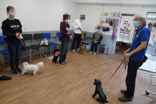 人間社会でストレス少なく生活するための社会化をお伝えする初級クラスの様子