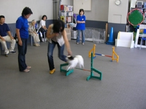 社会化を更に進める特別クラスの様子