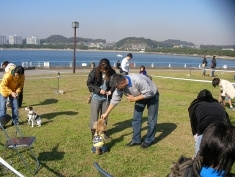 社会化を行う訪問グループレッスンの様子