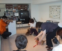 社会化を行う動物病院内でのパピークラスの様子