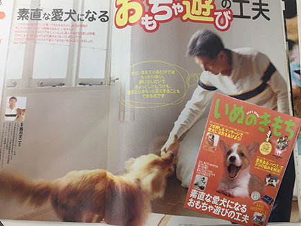 プー、雑誌いぬのきもちデビュー