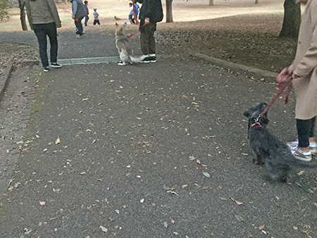 181130-2